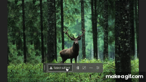 adobe firefly